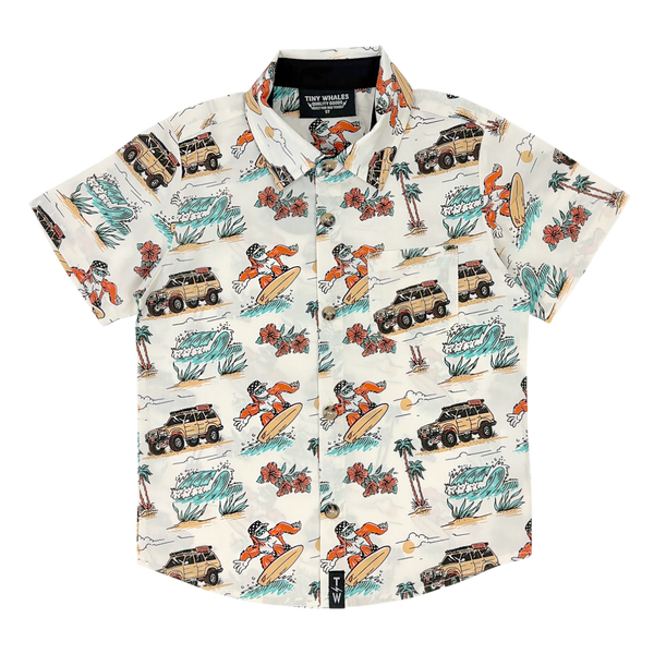 SURF SAFARI