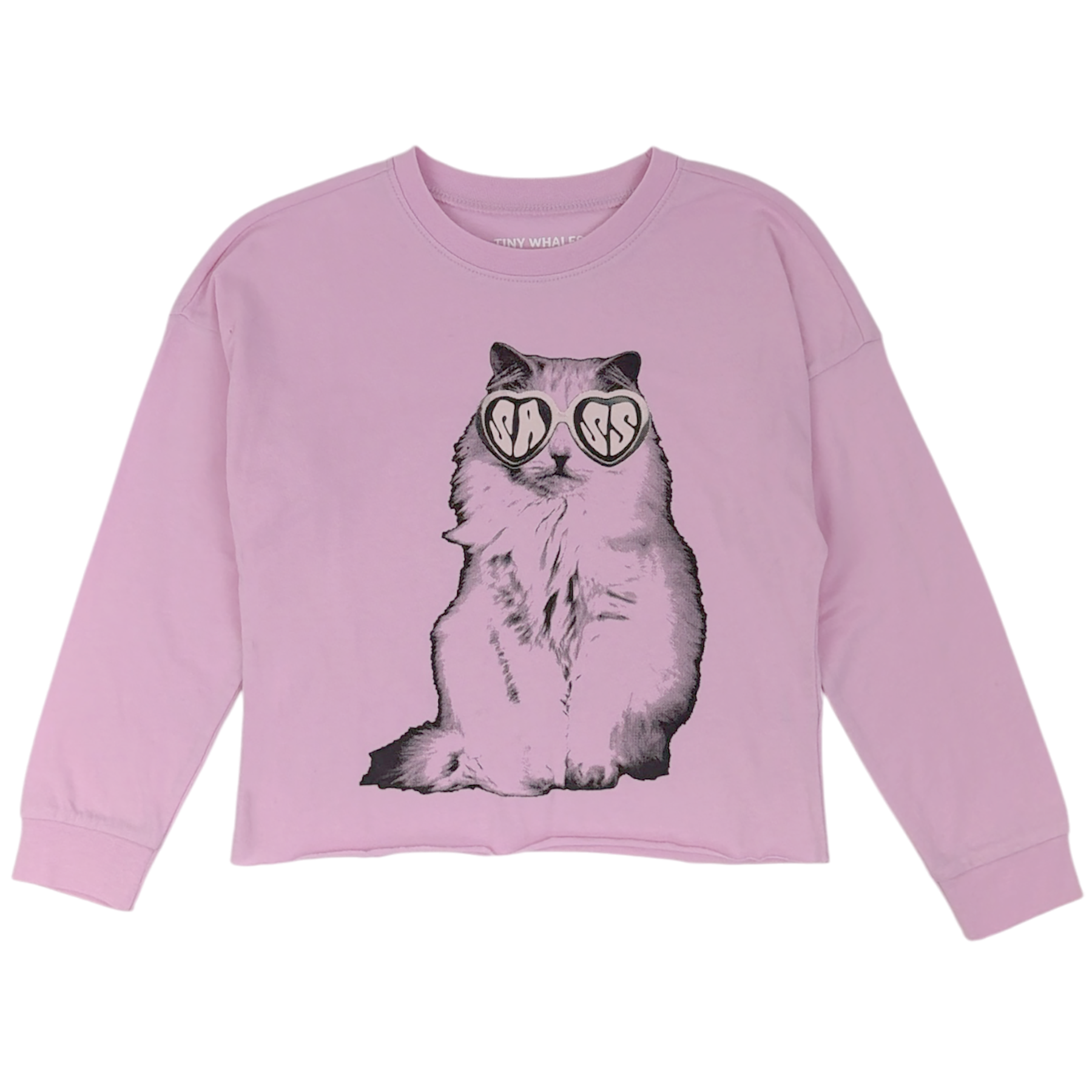 SASSY CAT