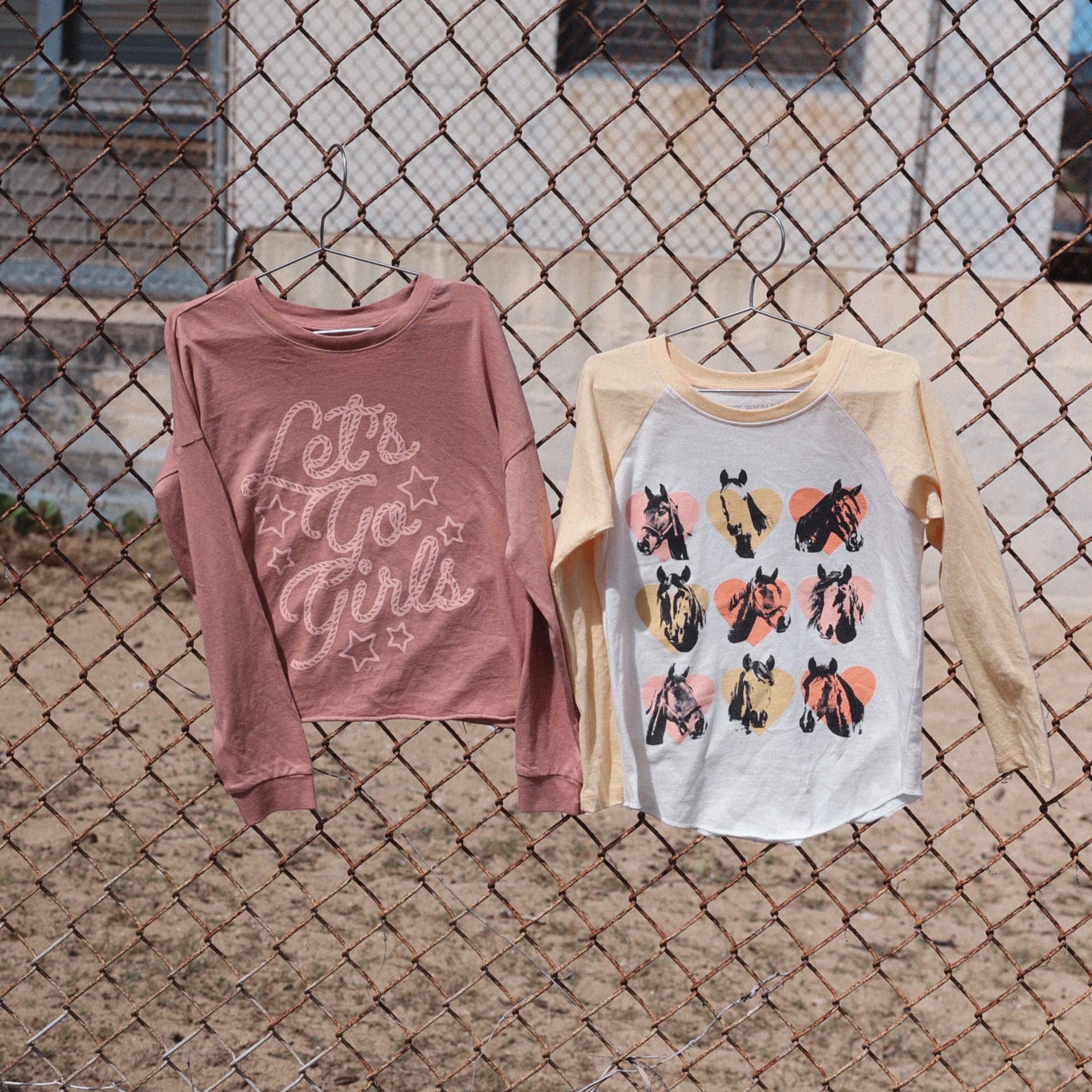 WILD HORSES