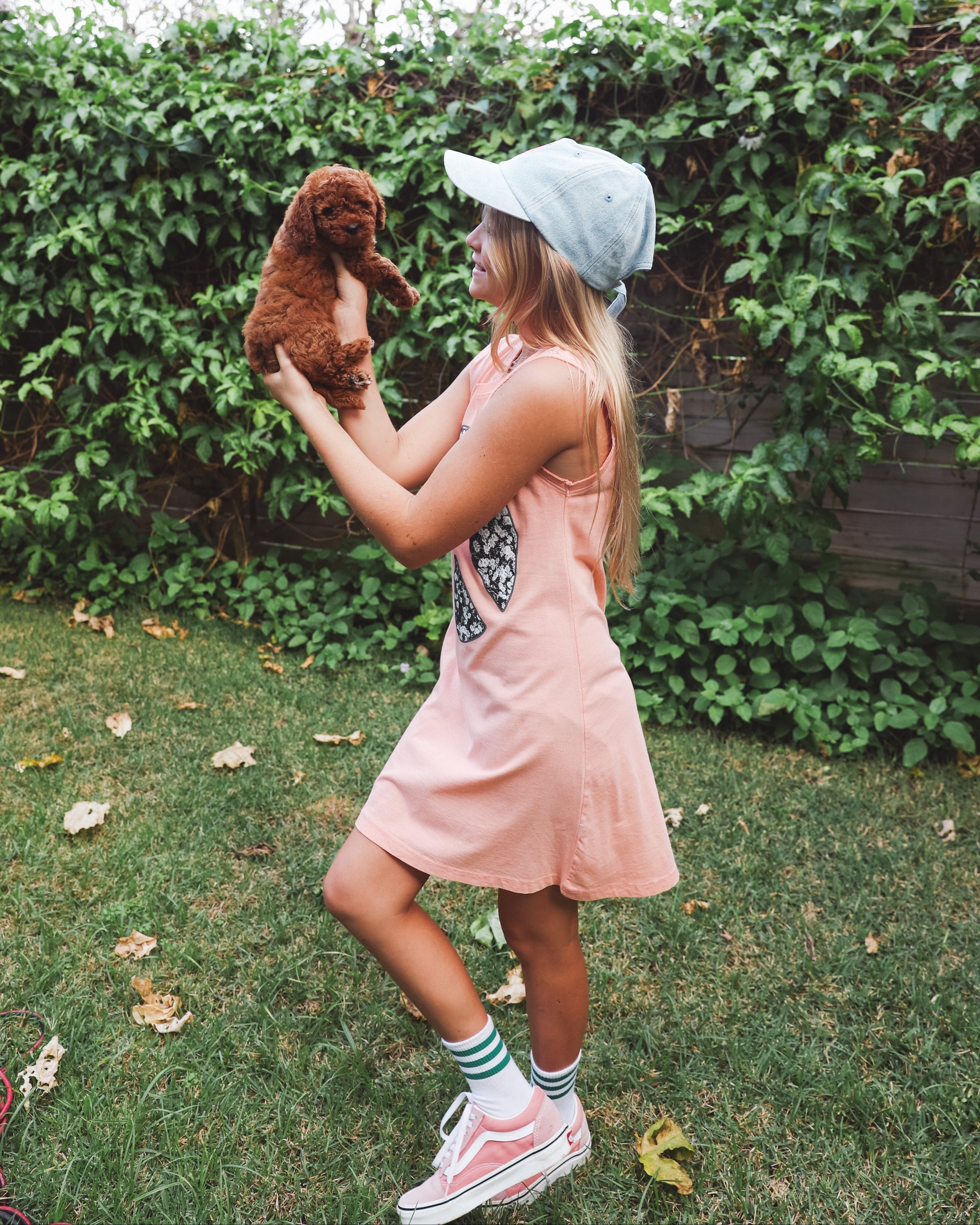 PEACE DAISIES