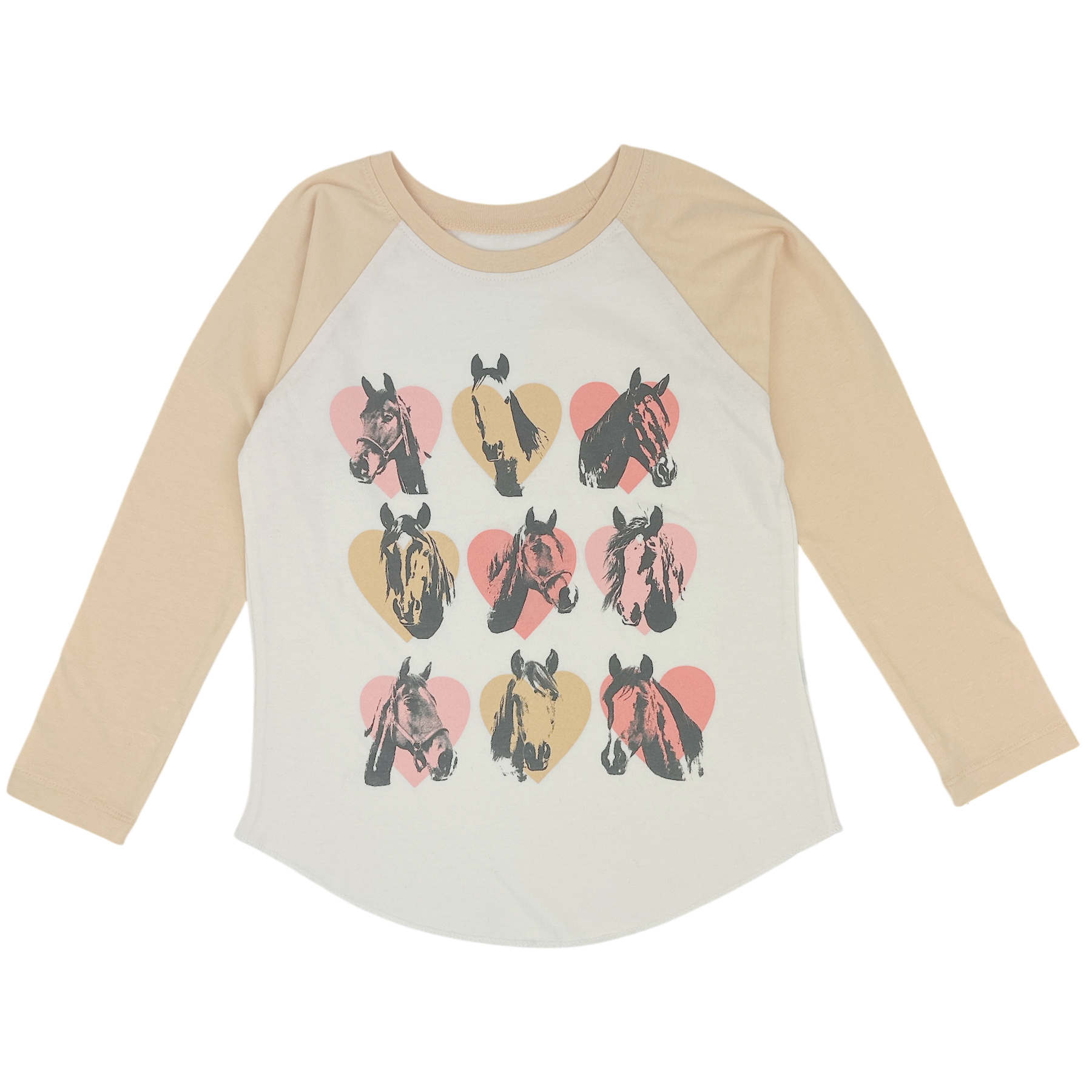 WILD HORSES